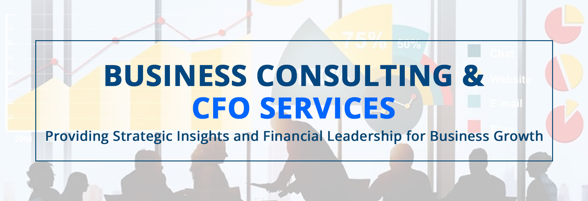 business consultingcfo